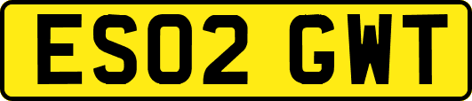 ES02GWT