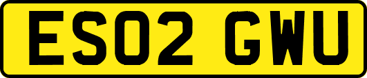 ES02GWU