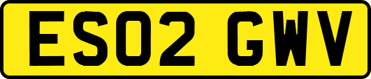ES02GWV