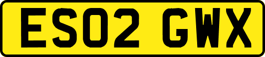 ES02GWX