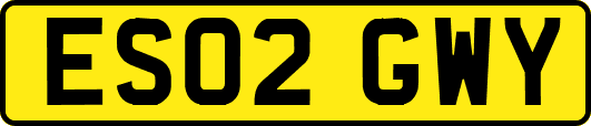 ES02GWY