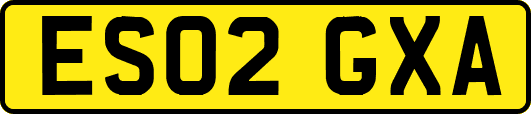 ES02GXA