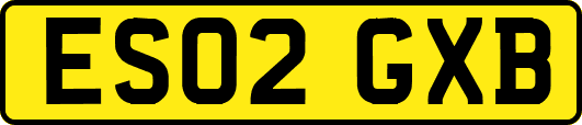 ES02GXB