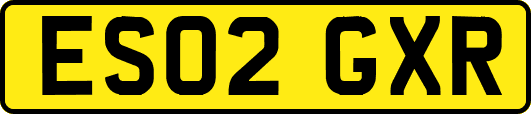 ES02GXR
