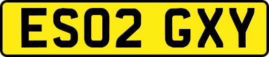 ES02GXY