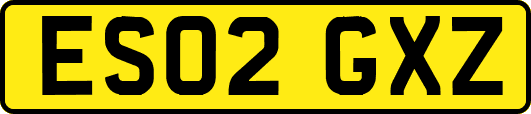 ES02GXZ