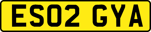 ES02GYA