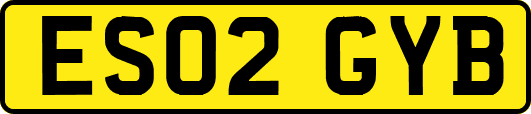 ES02GYB