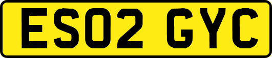 ES02GYC
