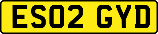 ES02GYD