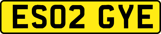 ES02GYE