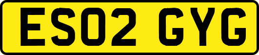 ES02GYG