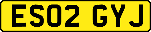 ES02GYJ