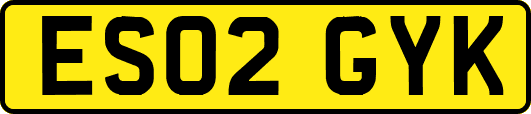 ES02GYK