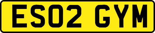 ES02GYM