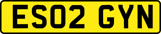 ES02GYN