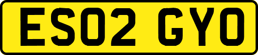 ES02GYO