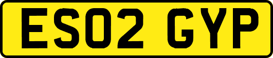 ES02GYP