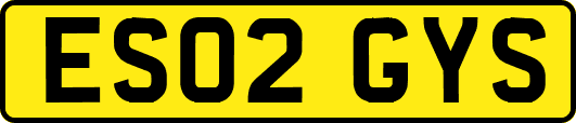 ES02GYS