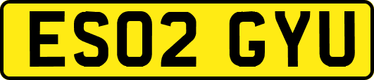 ES02GYU