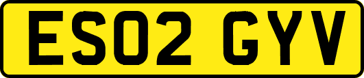 ES02GYV
