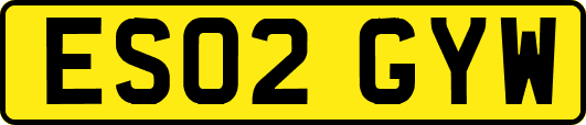 ES02GYW