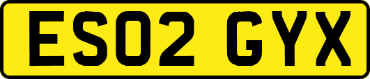 ES02GYX