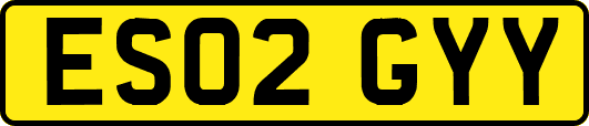 ES02GYY