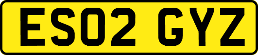 ES02GYZ