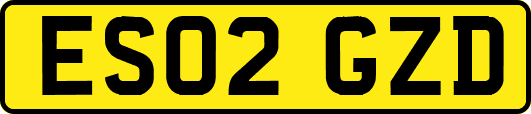 ES02GZD
