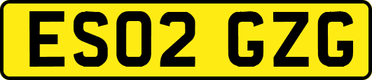ES02GZG