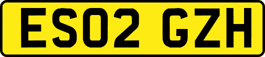 ES02GZH