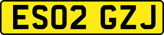 ES02GZJ