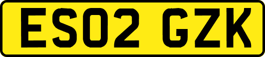 ES02GZK