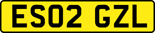 ES02GZL