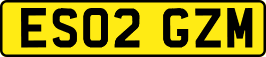 ES02GZM