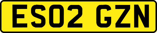 ES02GZN