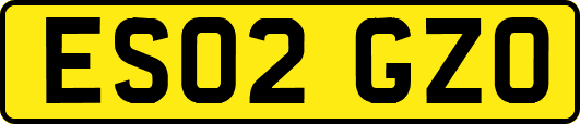 ES02GZO