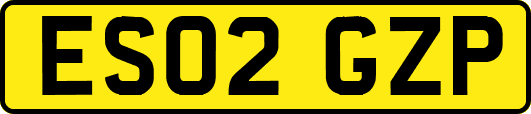 ES02GZP