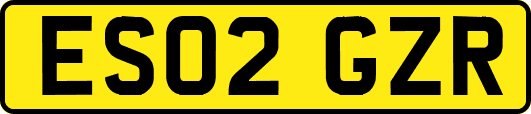 ES02GZR