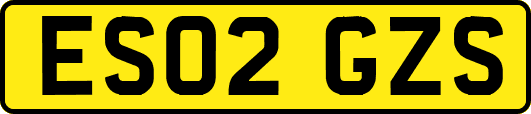 ES02GZS