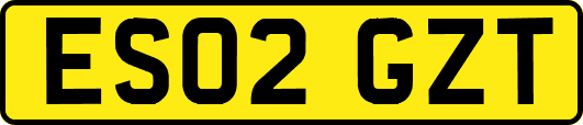 ES02GZT