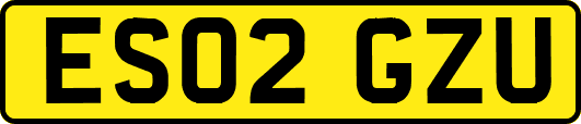 ES02GZU