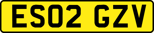 ES02GZV