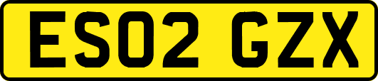 ES02GZX