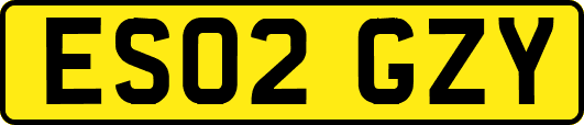 ES02GZY