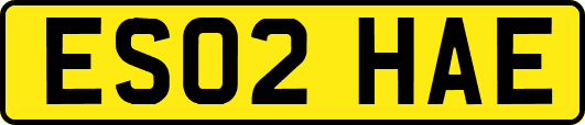 ES02HAE
