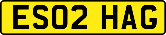 ES02HAG