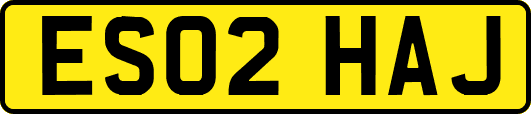 ES02HAJ