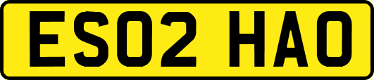 ES02HAO